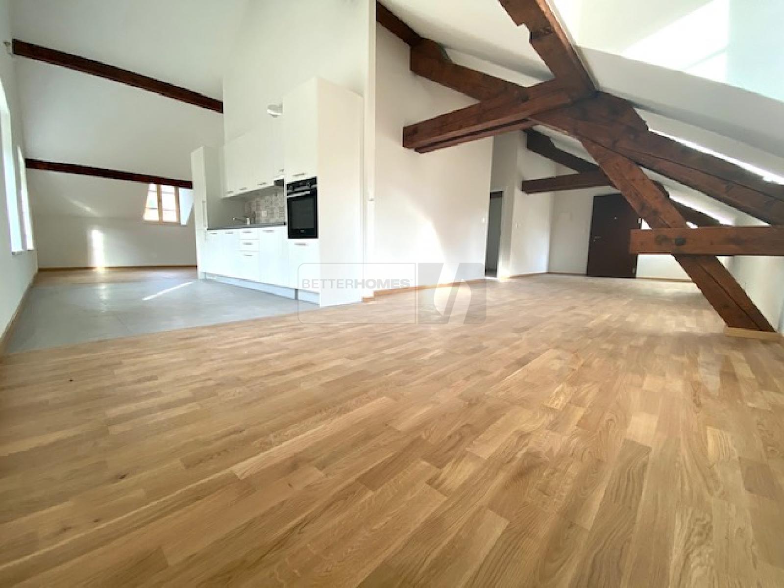 DERNIER ÉTAGE AU BORD DE LA RIVIÈRE (LOT 11) - 0