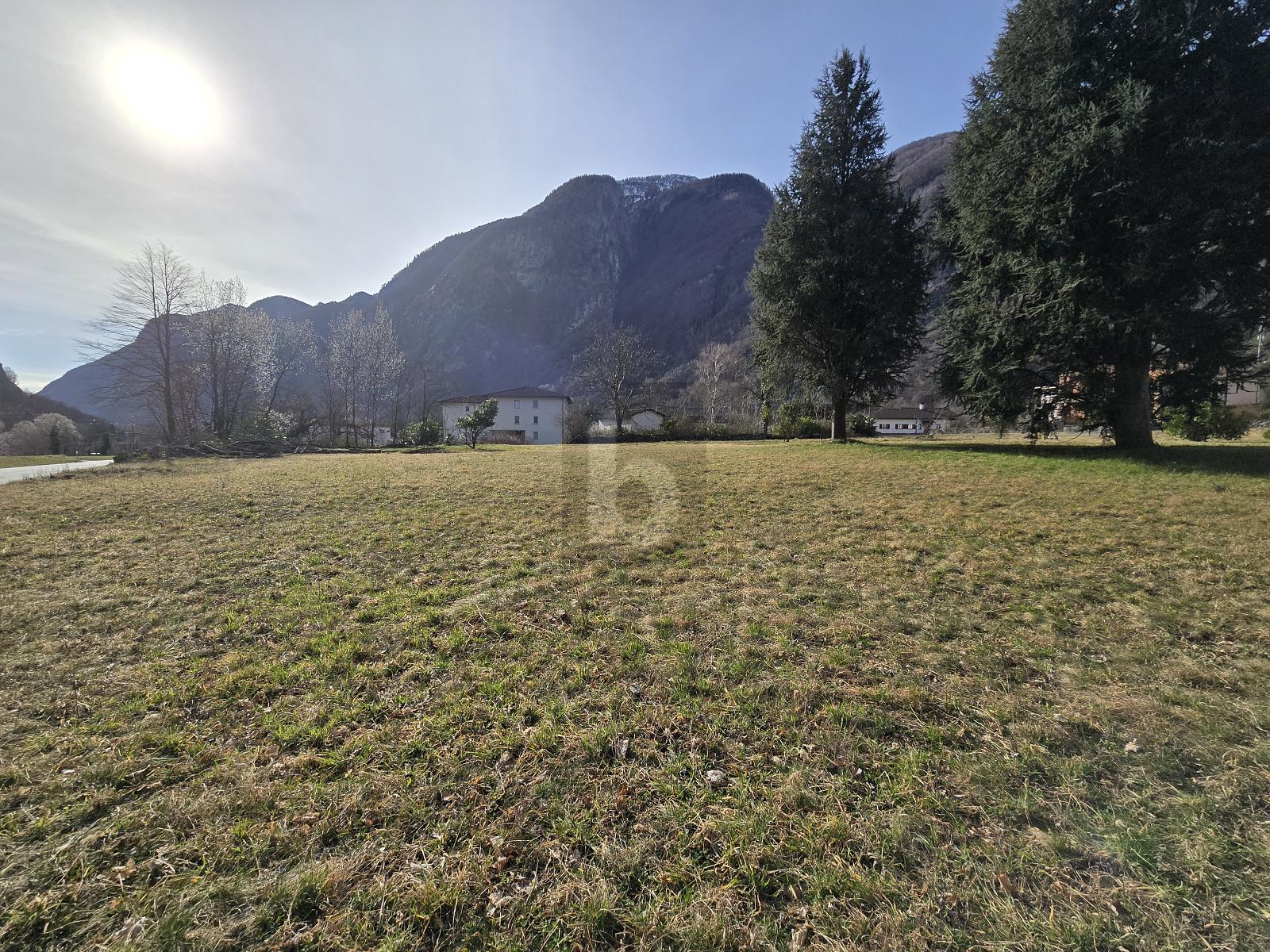 AMPIO E SOLEGGIATO IN POSIZIONE TRANQUILLA - 1