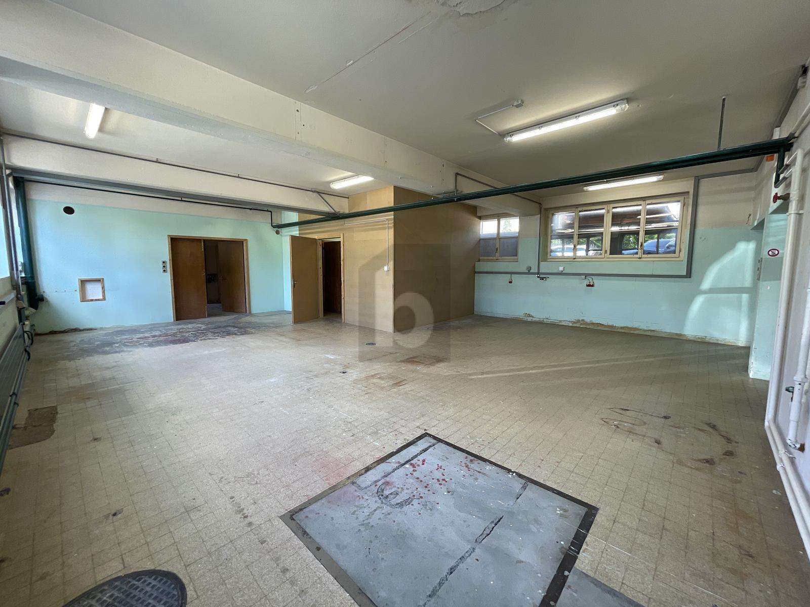 VIEL RAUM FÜR KREATIVE UND PRAKTISCHE NUTZUNG - 2