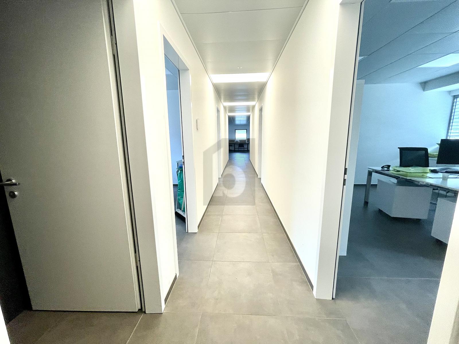 NUOVO STABILE ARTIGIANALE/COMMERCIALE - 2