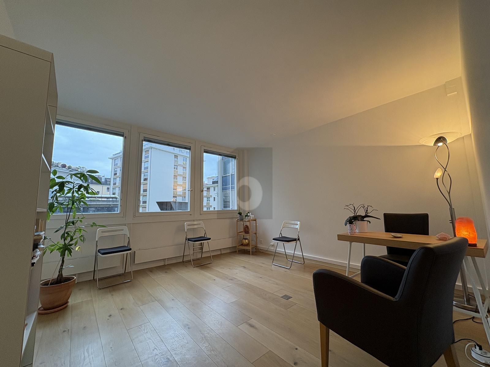 AU COEUR DES EAUX-VIVES ENTIEREMENT RENOVE - 1