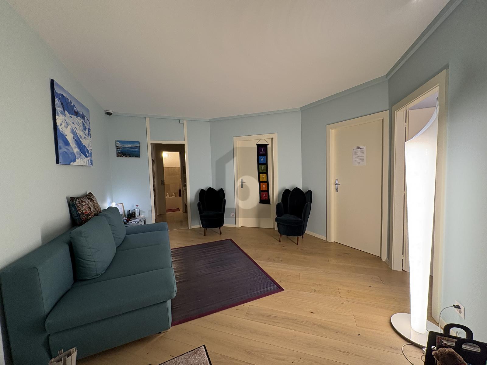 AU COEUR DES EAUX-VIVES ENTIEREMENT RENOVE - 2