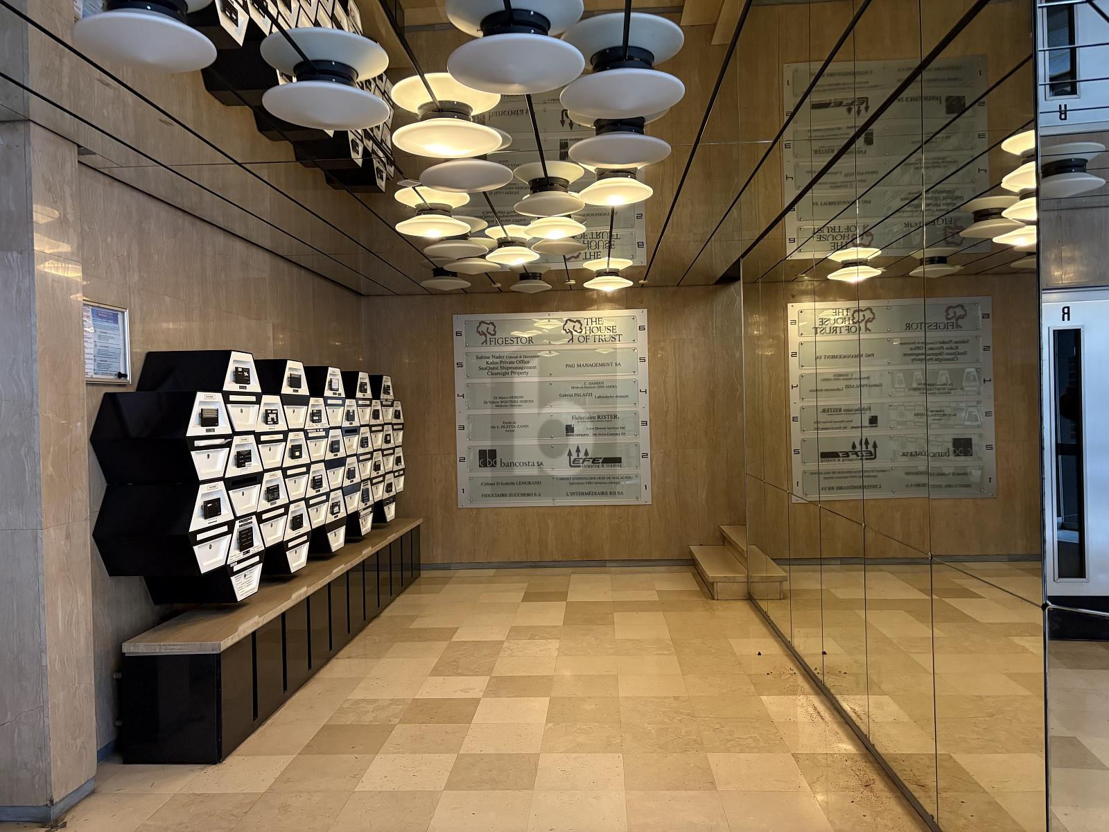 AU COEUR DES EAUX-VIVES ENTIEREMENT RENOVE - 3