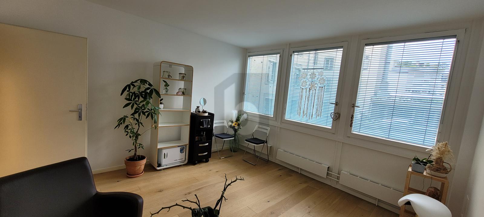 AU COEUR DES EAUX-VIVES ENTIEREMENT RENOVE - 4