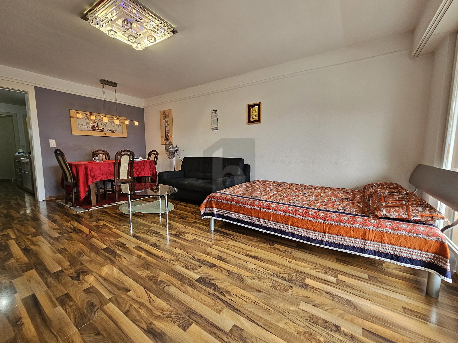 CHARMANT ET PROCHE DU LAC ! - 2