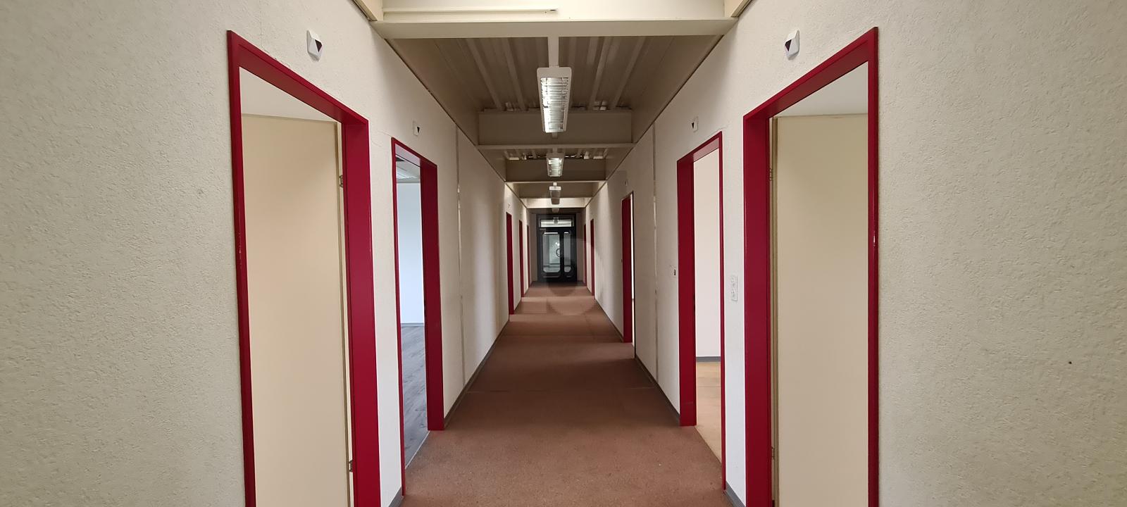 SPACIEUX, EN ZONE INDUSTRIELLE - 3