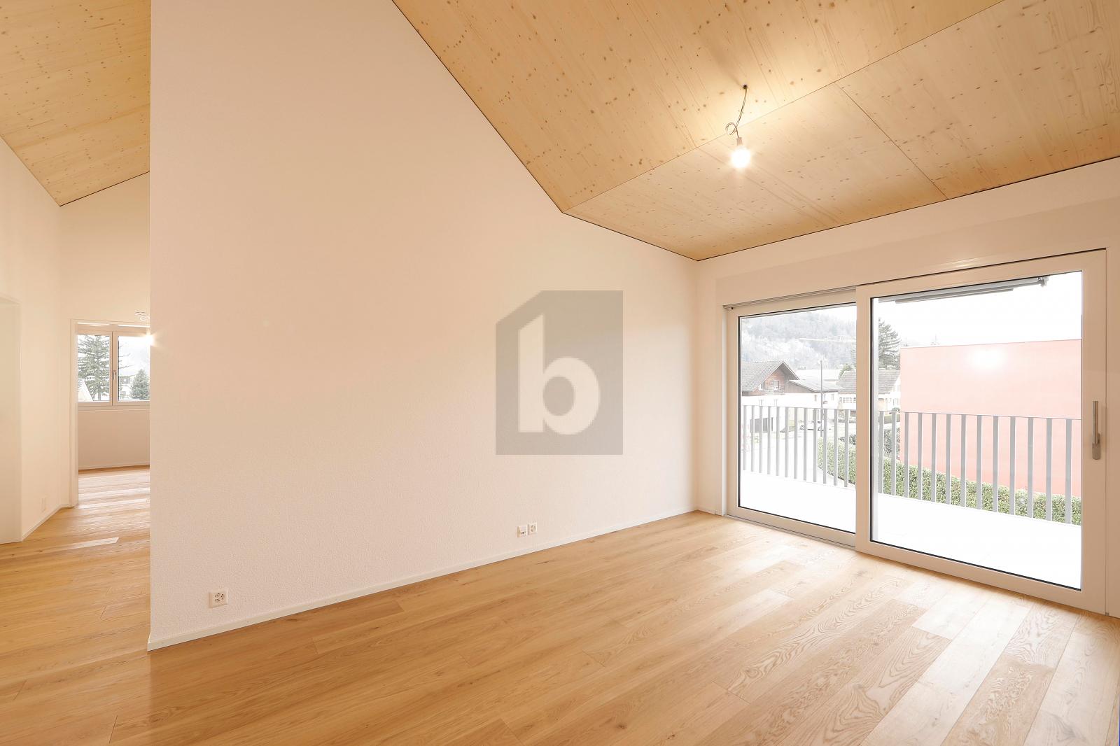 HOCHWERTIGER NEUBAU AN SONNIGER LAGE! - 1