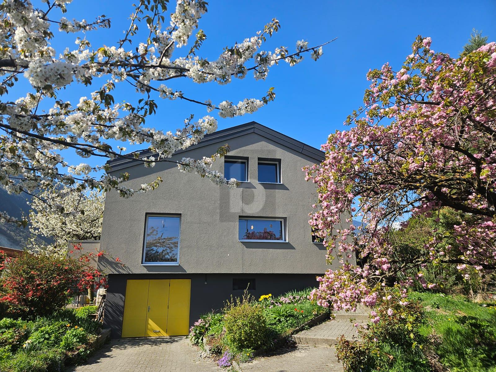 BAISSE DE PRIX!!! LUMINOSITE INTEMPORELLE ET RADIEUSE - 0