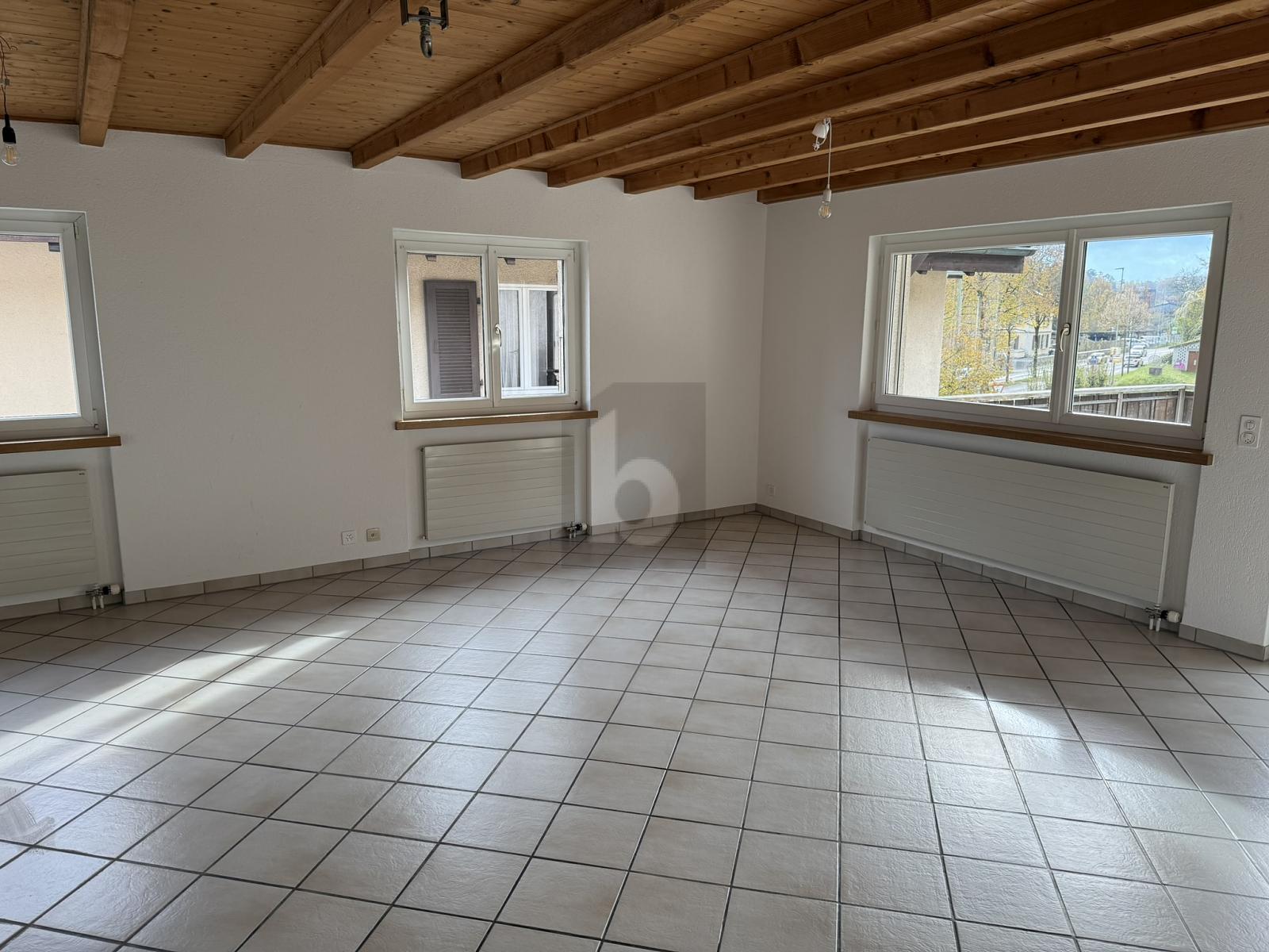 GROSSE TERRASSE, SCHWEDENOFEN UND VIEL PLATZ! - 1