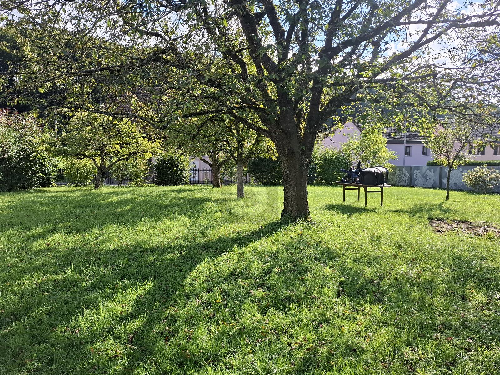 VOLUME GÉNÉREUX ET CHARME UNIQUE - 0