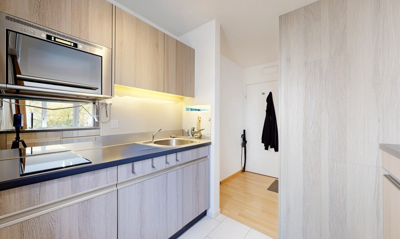 Renoviertes Studio im Friesenberg-Quartier in Zürich - 0