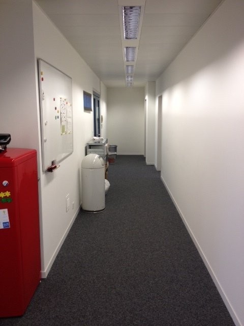 231m2 Bürofläche zur Zwischenmiete bis 30. Juni 2025 - 2