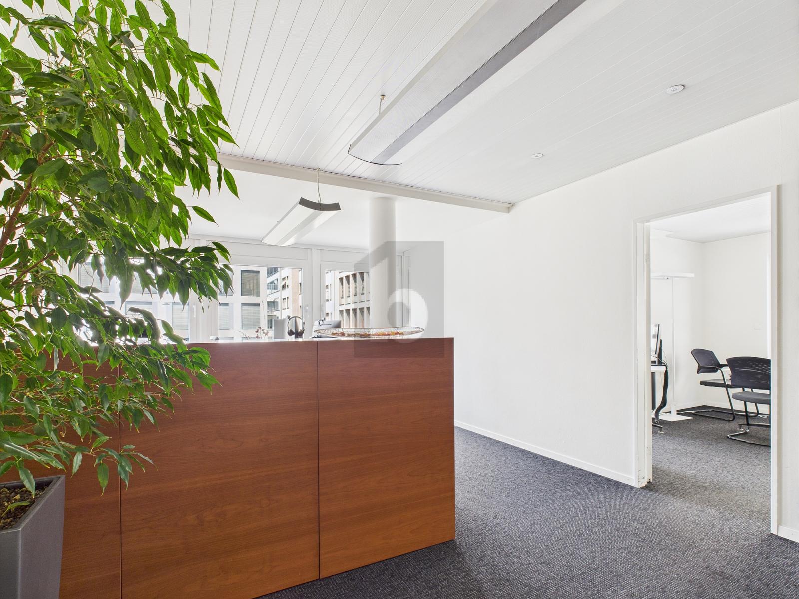 VIEL PLATZ AN ABSOLUT ZENTRALER LAGE - 1