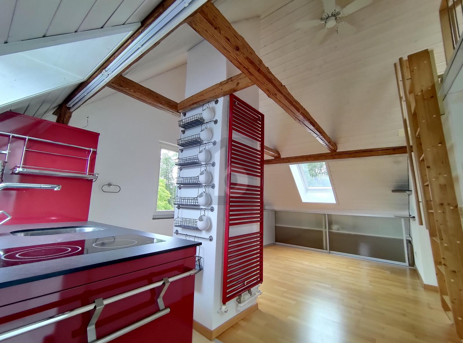 LICHTDURCHFLUTET AN RUHIGER LAGE - 1