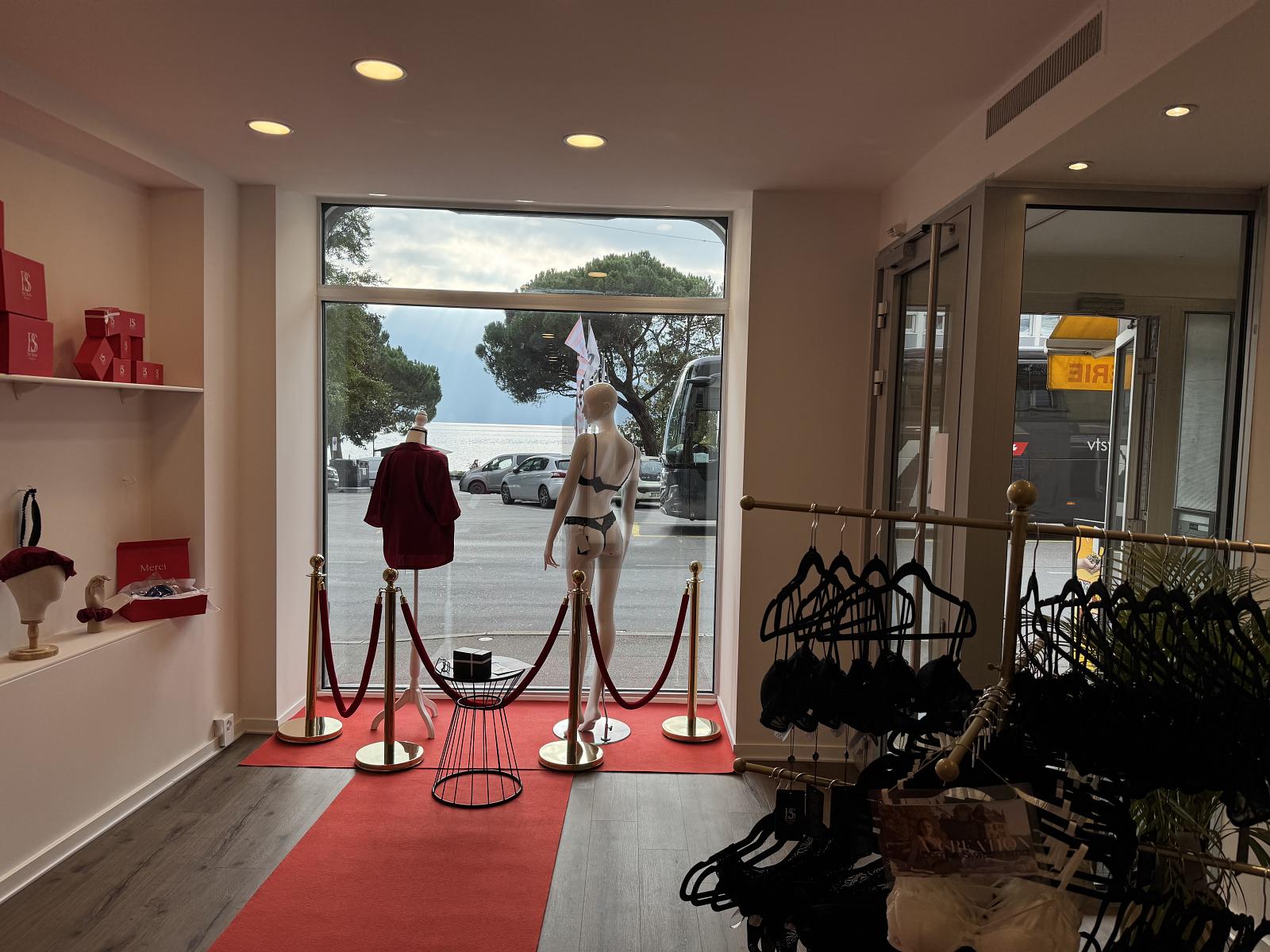 VUE LAC ET EMPLACEMENT PRIVILÉGIÉ - 0