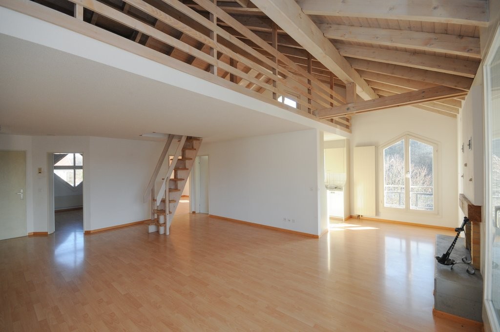 Grosse Wohnung plus 50m2 Galerie - 1
