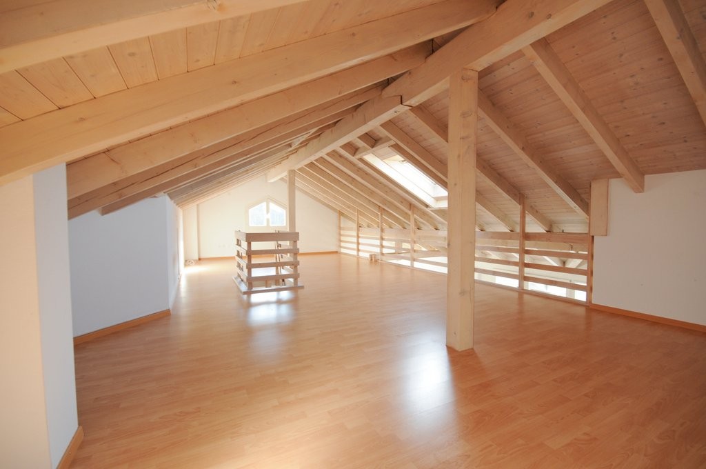 Grosse Wohnung plus 50m2 Galerie - 6