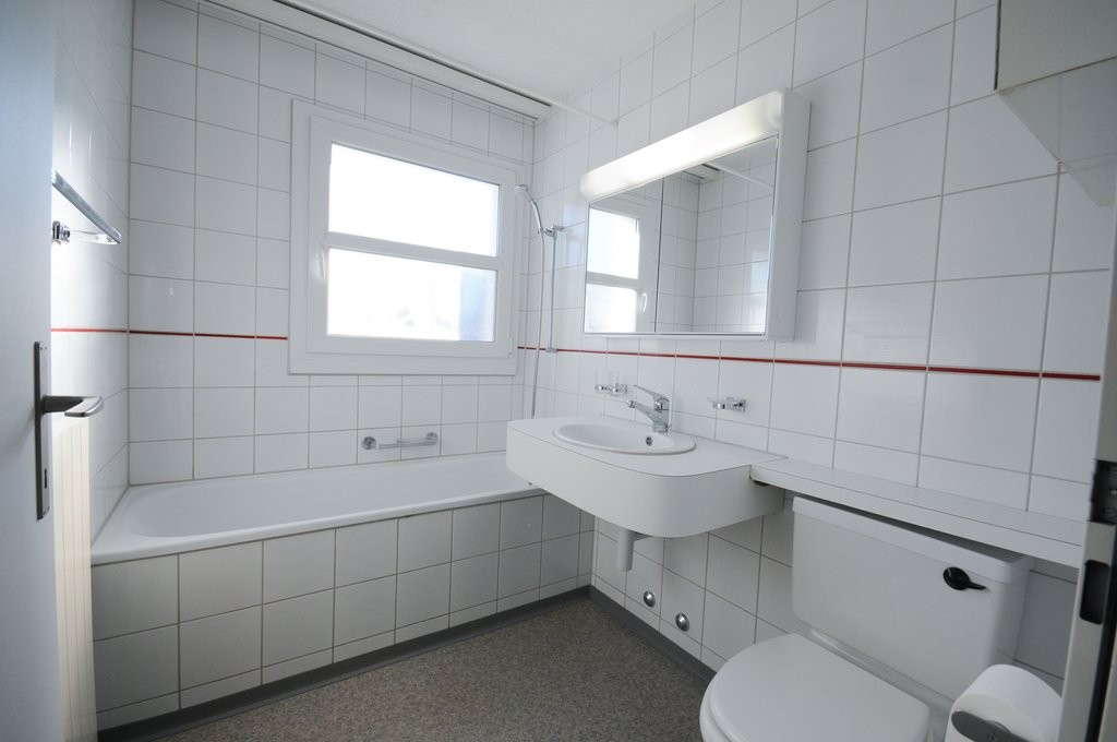 Grosse Wohnung plus 50m2 Galerie - 8