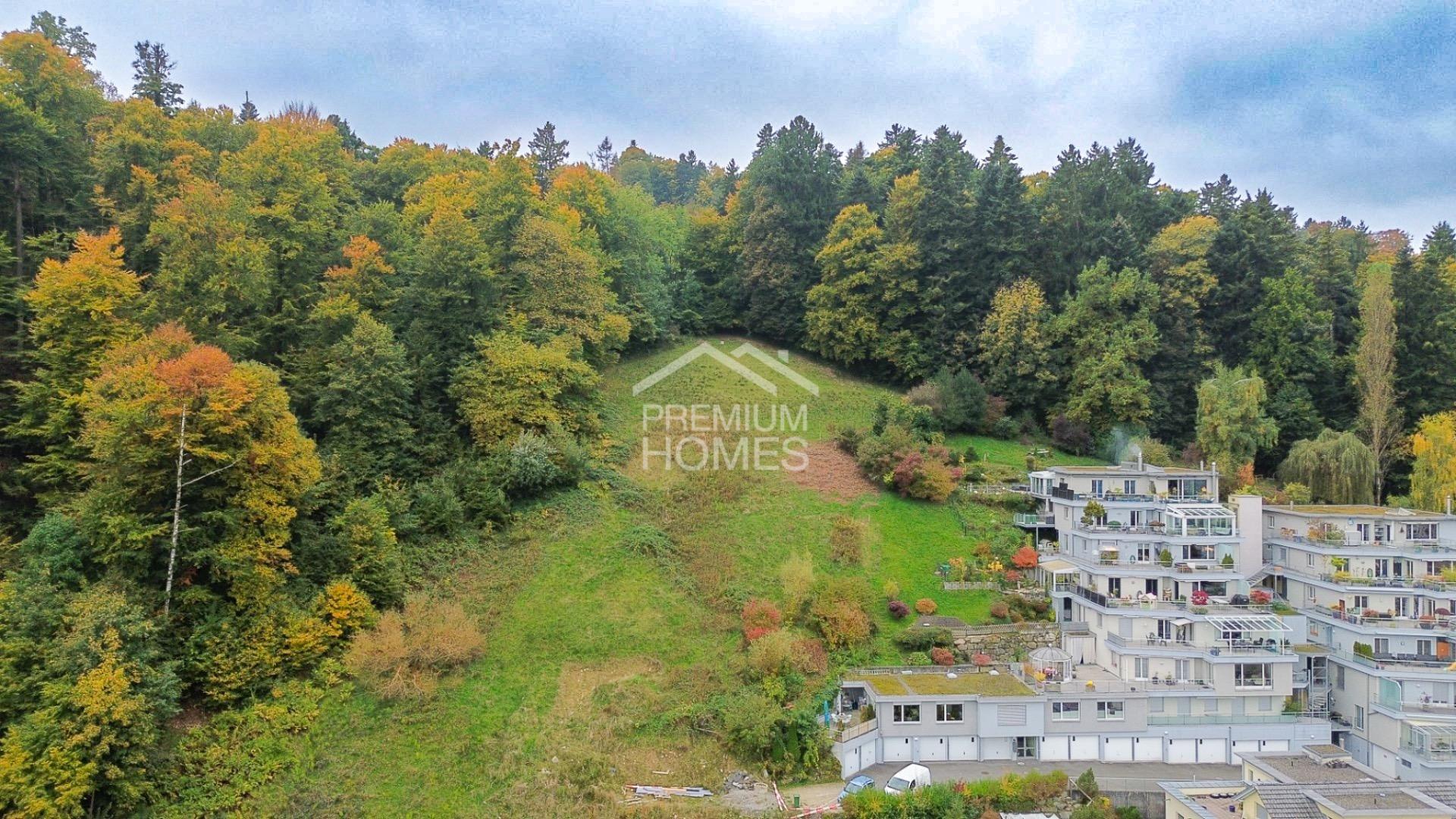 HIER BEGINNT IHR TRAUM - 1