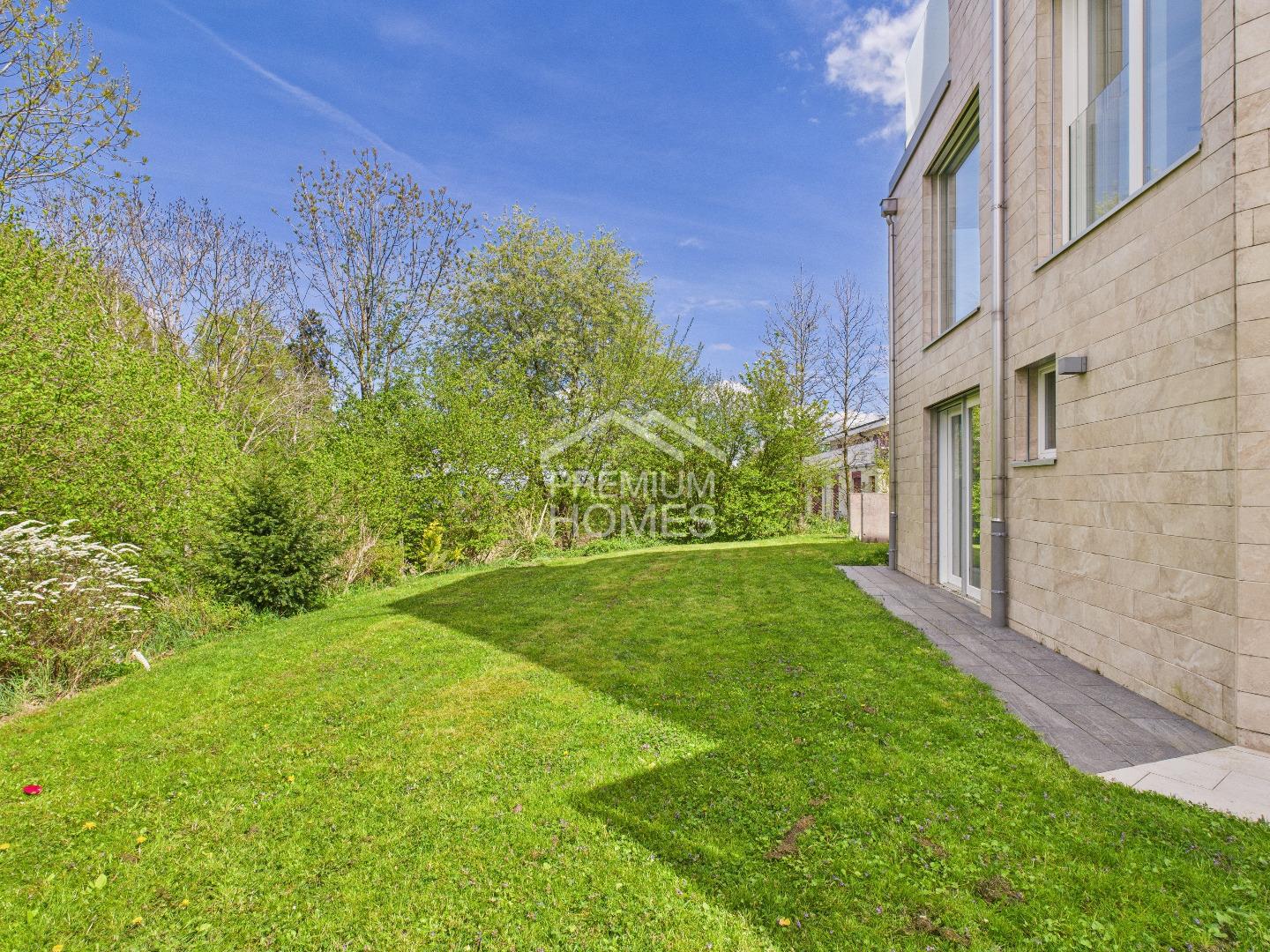 SCHATZ DAS WILL ICH - 7