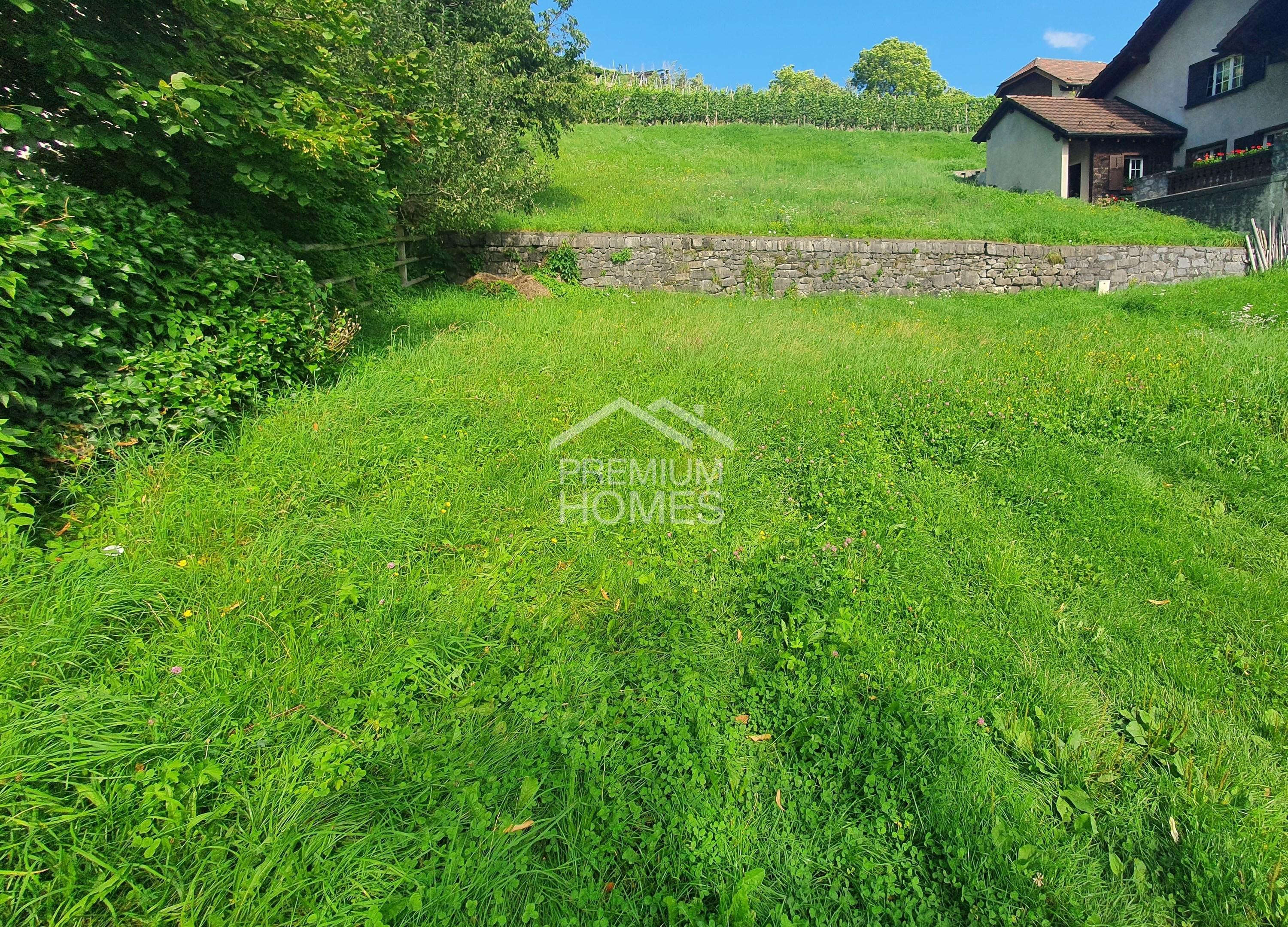 EINZIGARTIGES BAULAND MIT ATEMBERAUBENDER WEITSICHT! - 2