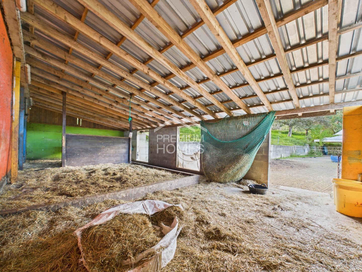 Raum, Natur, Exklusivität - 11