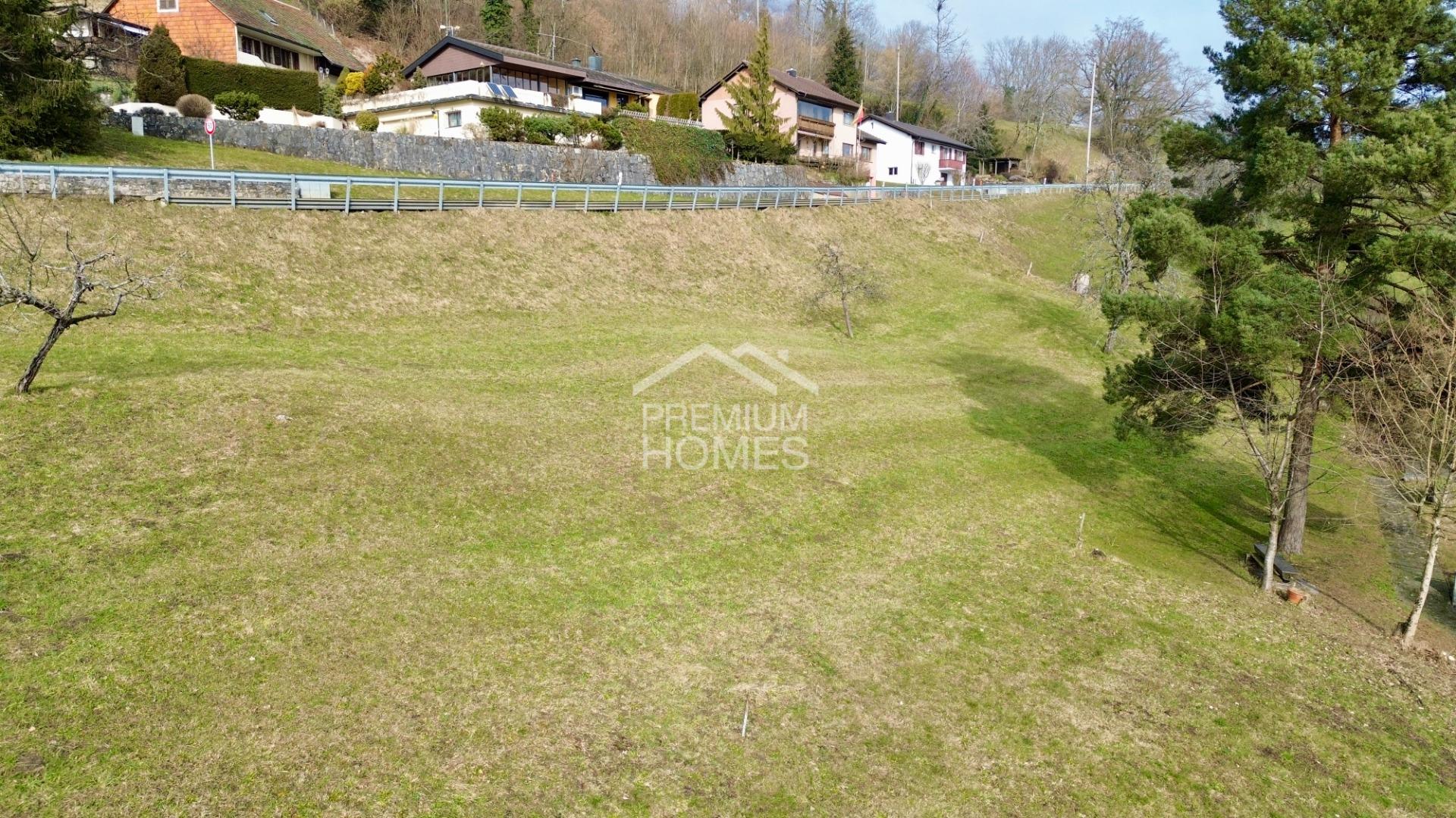 Ihr Bauprojekt beginnt hier ? 1'578 m² Grundstück in Rumisberg! - 1