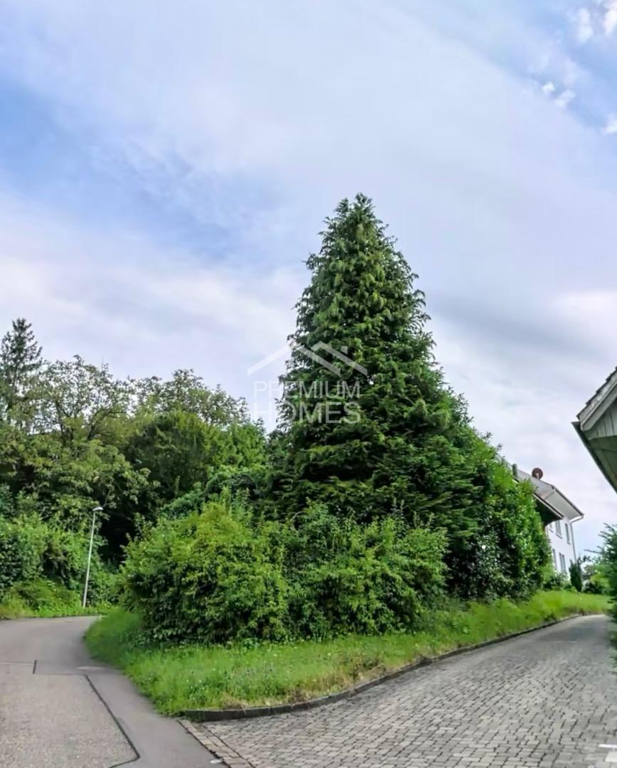 Gestalten Sie Ihr eigenes Mini-Paradies - 4