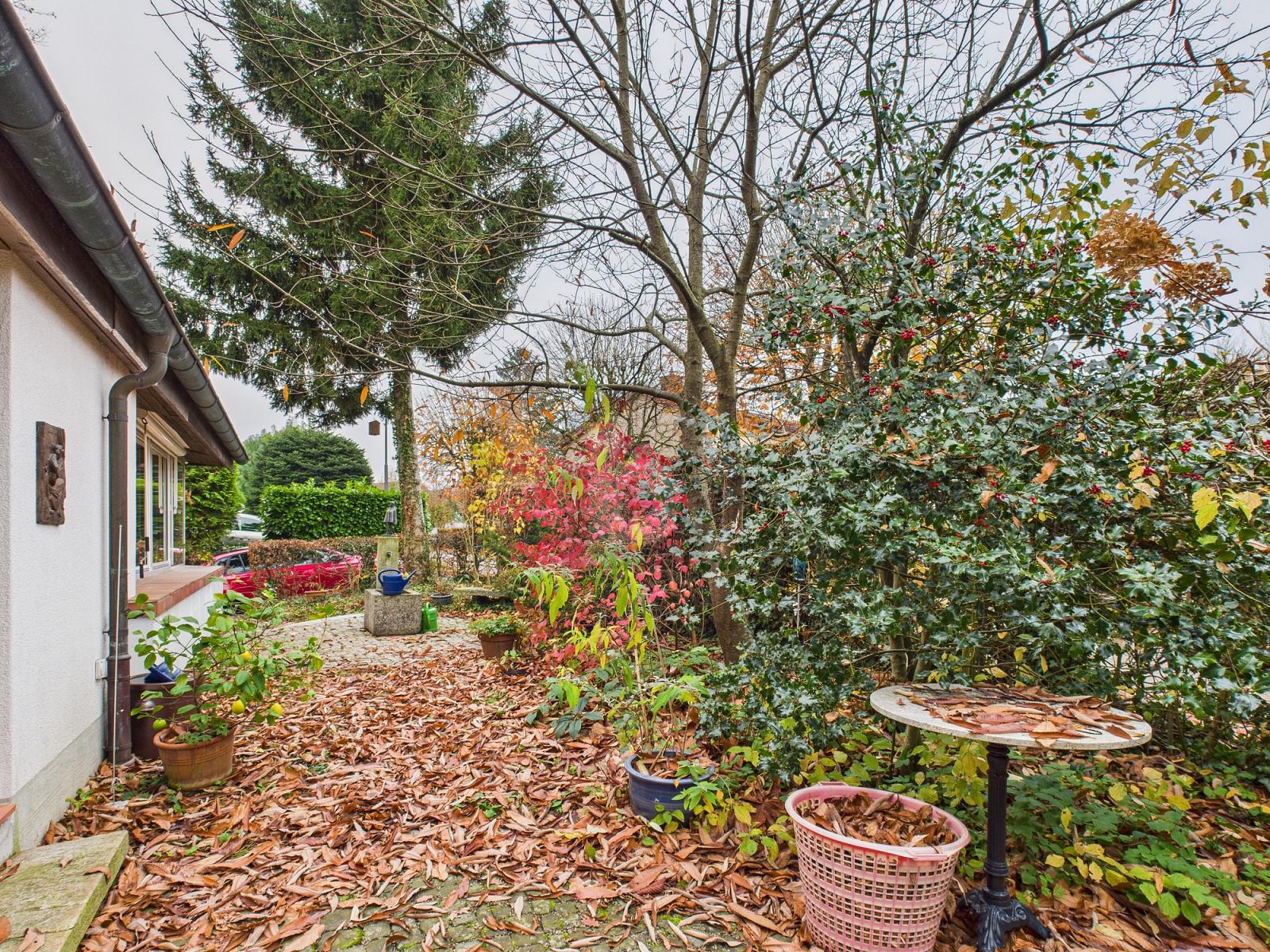 FRISCH RENOVIERT MIT GARTEN - 4