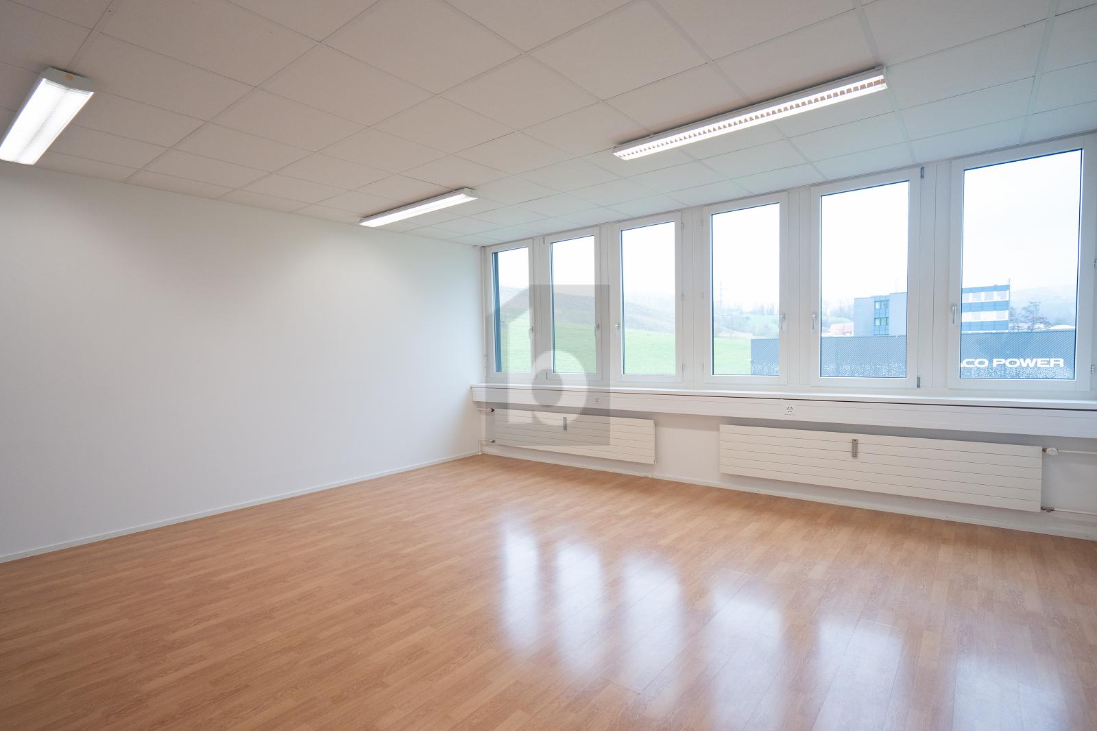 STEUER OPTIMIERTER STANDORT, AUSGEZEICHNETE LAGE! - 4