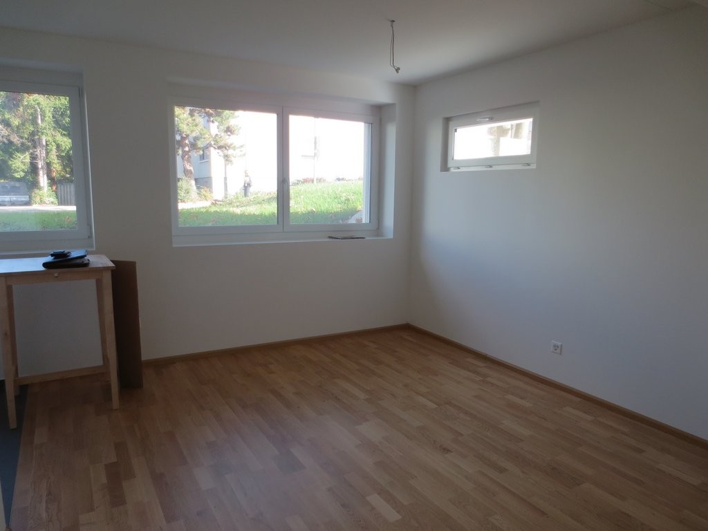 Modernes Studio in Allschwil sucht Nachmieter/in - 1