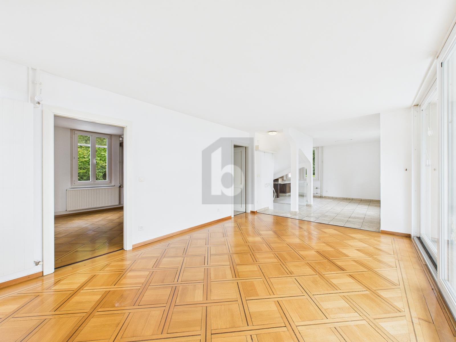 A DEUX PAS DU LAC, VUE IMPRENABLE - 1