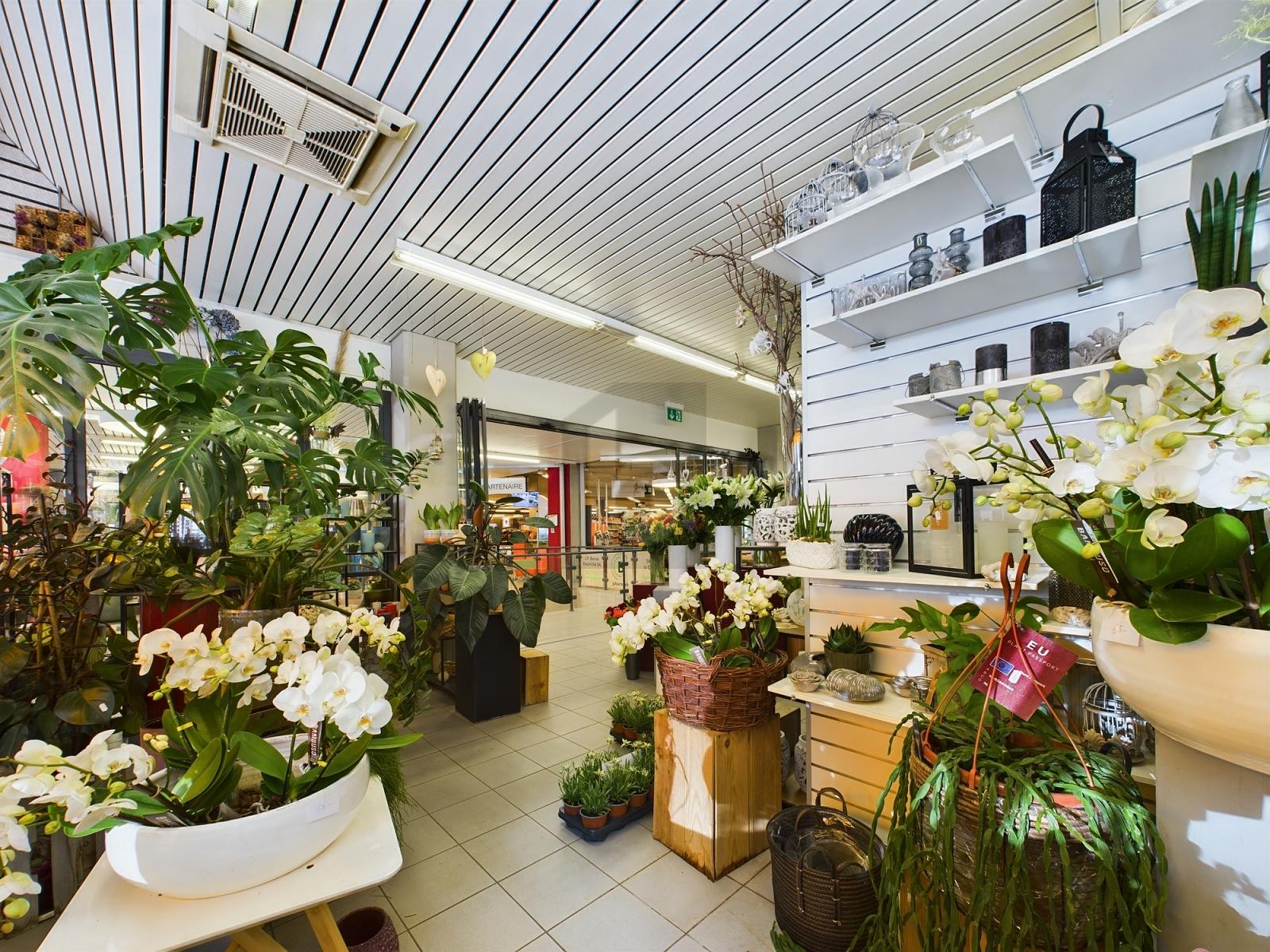 CLIENTÈLE FIDÉLISÉE ET EXCELLENTE OPPORTUNITÉ - 2