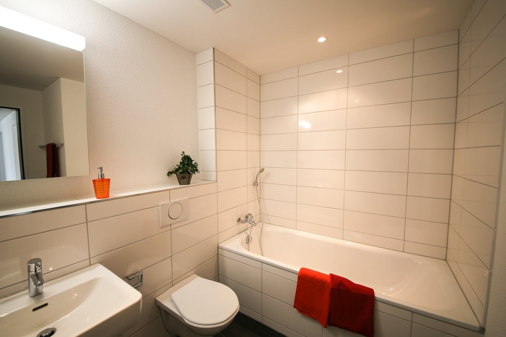 Grosszügige Wohnung sucht neue Familie - 1