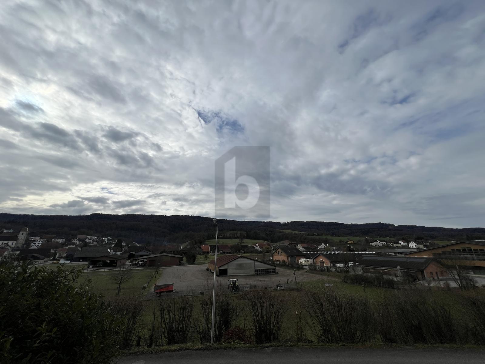 APPARTEMENT PRATIQUE ET LUMINEUX À CHEVENEZ - 0