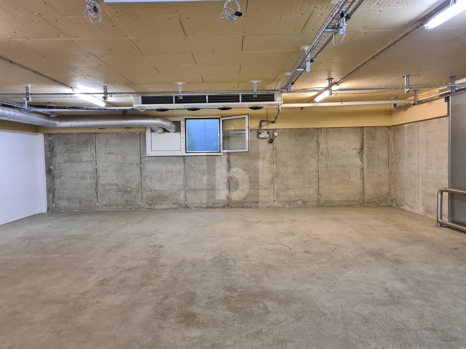 ZENTRAL GELEGEN UND VIELFÄLLTIG NUTZBAR - 1