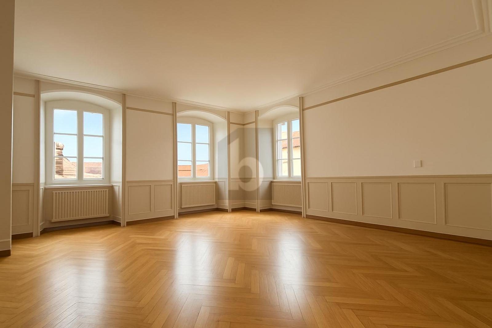 MAGNIFIQUE LOCAL DE BUREAU - 1