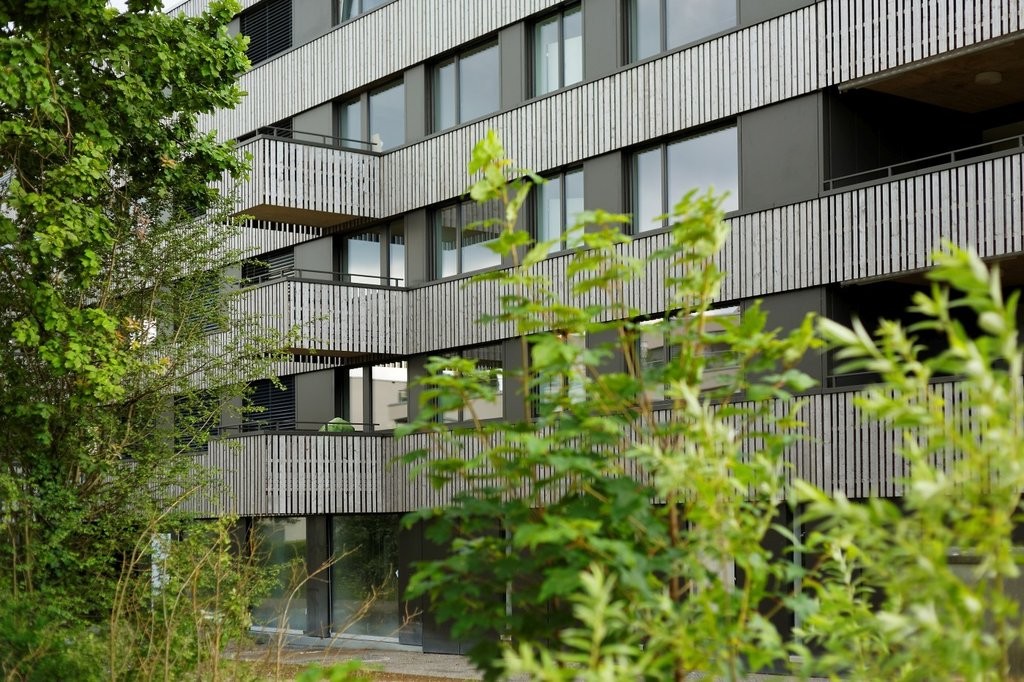 Hier endet Ihre Wohnungssuche - 0