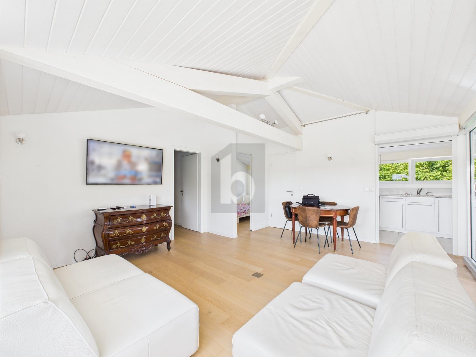 ESPACE LUMINEUX ET MEUBLÉ - 1