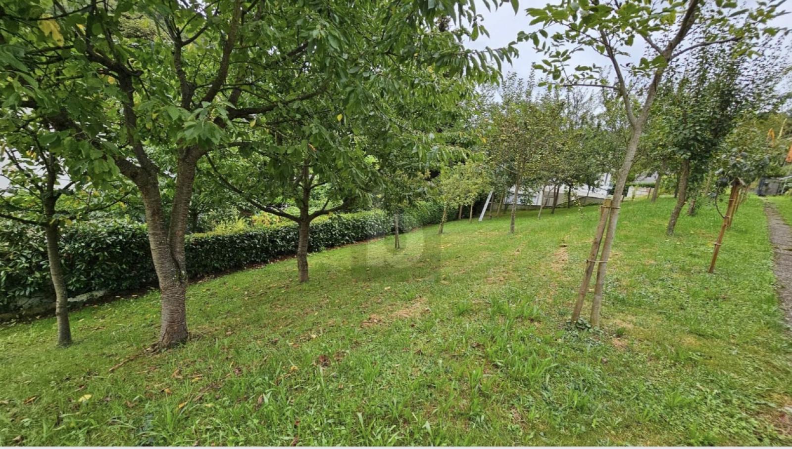 WOHNOASE MIT GARTENPARADIES - 4