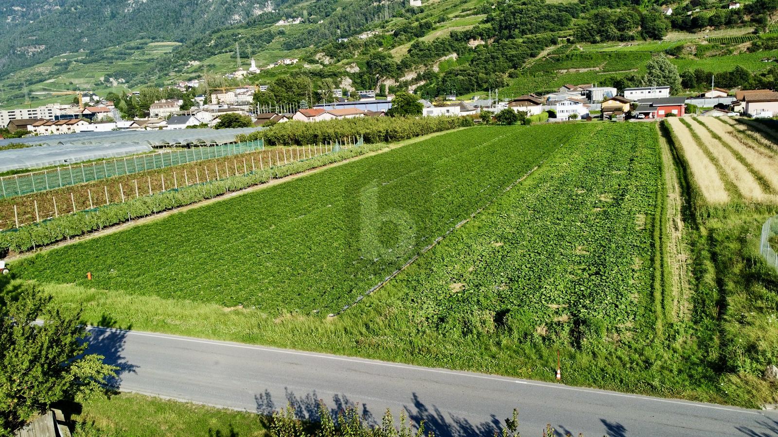 POUR ACTIVITEE INDUSTRIELLE, AVEC ACCES PRATIQUE - 0