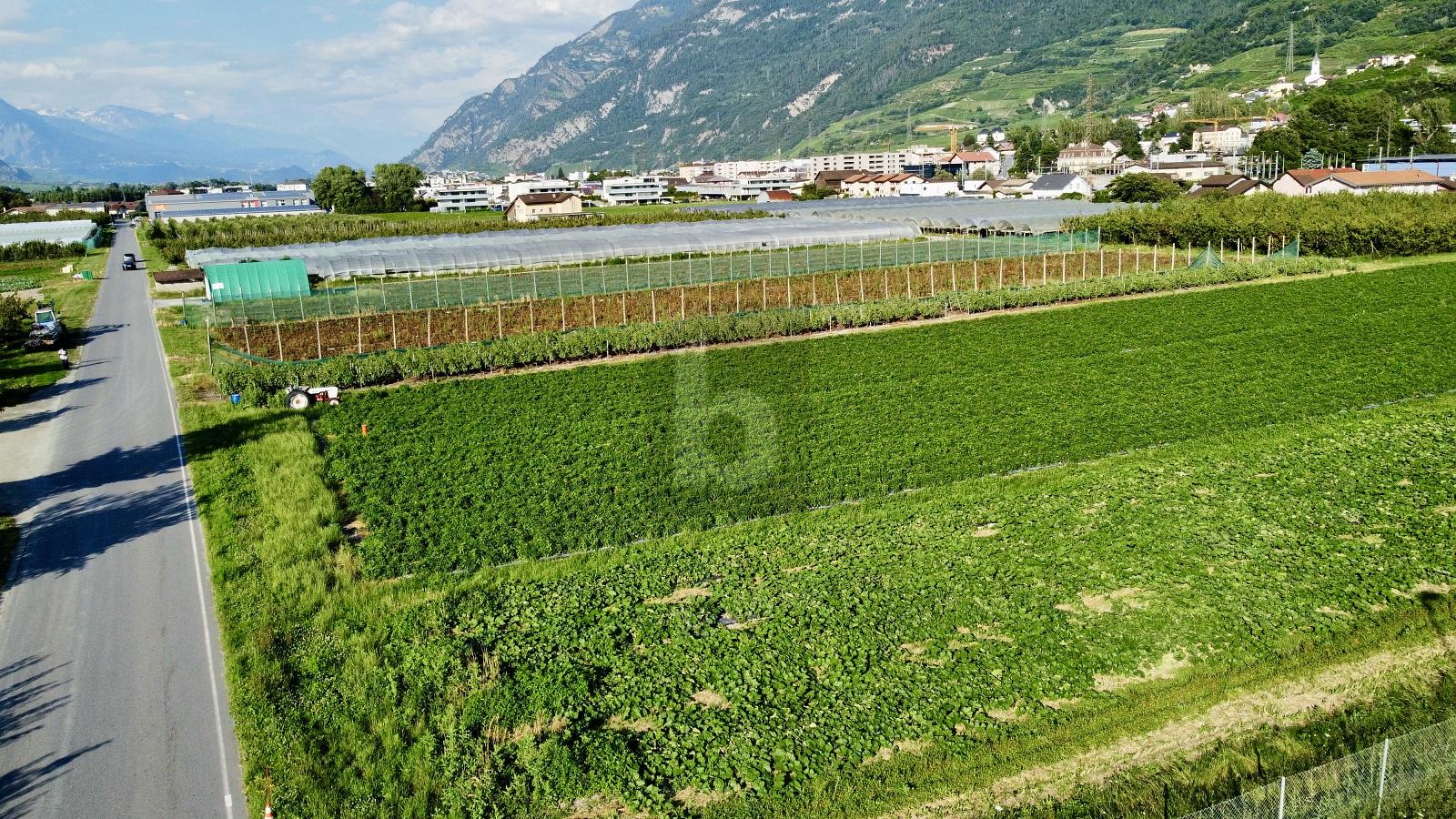 POUR ACTIVITEE INDUSTRIELLE, AVEC ACCES PRATIQUE - 1