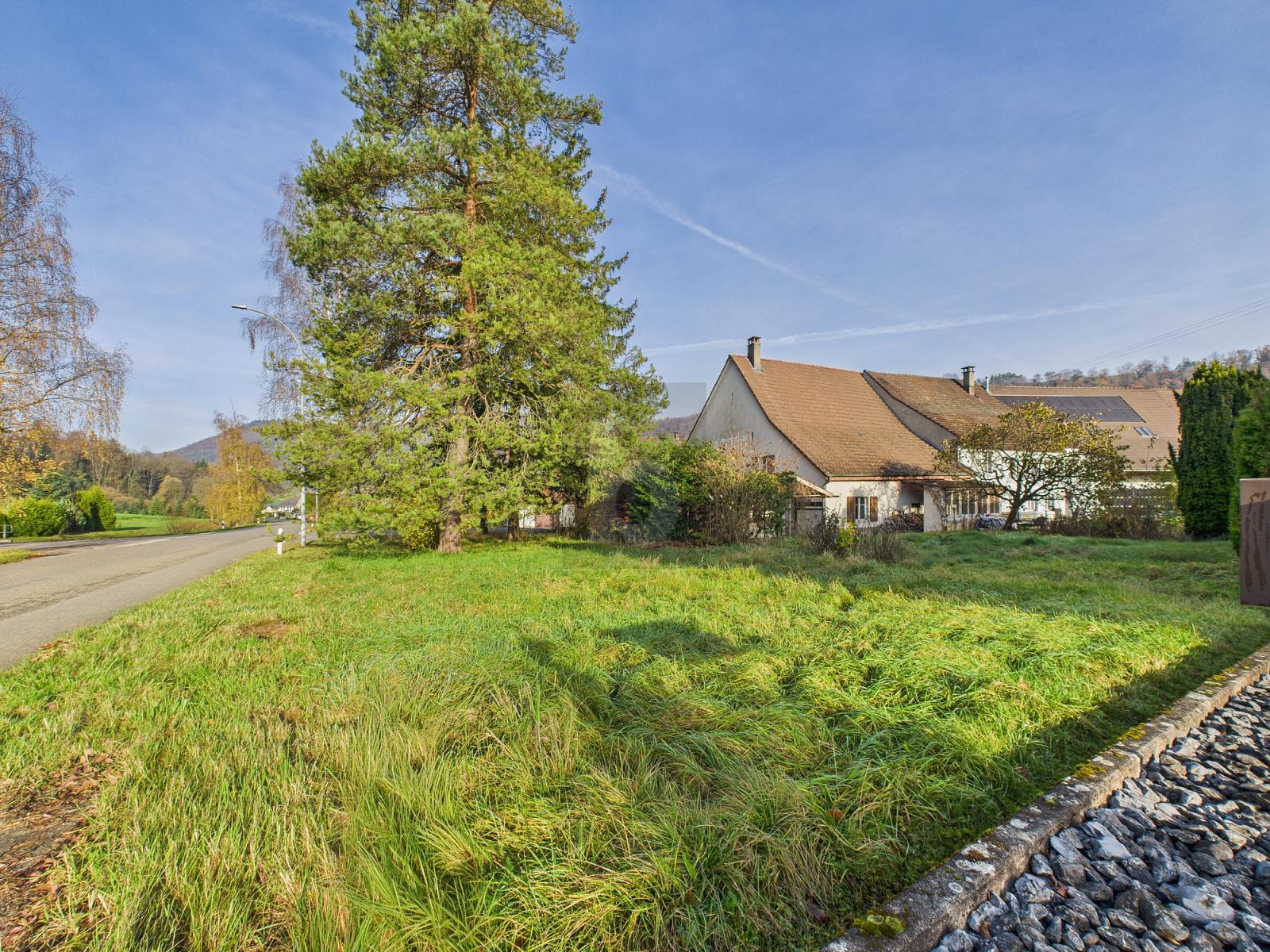 INVESTITIONSOBJEKT OHNE AUSNÜTZUNGSZIFFER - 1