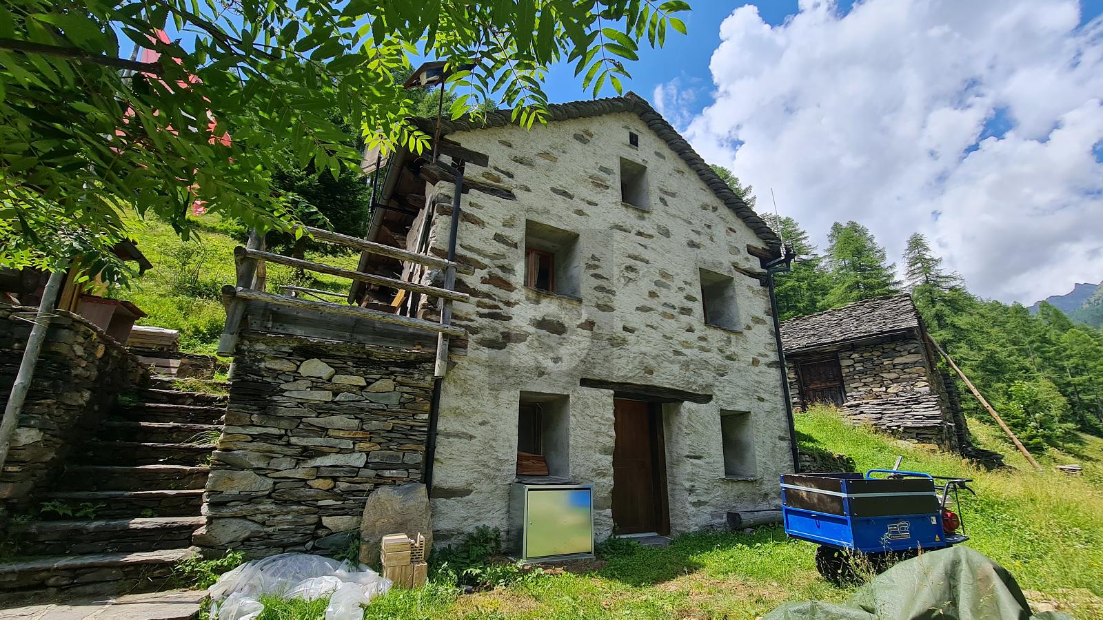 TRA LA NATURA, CON VISTA SUL PAESAGGIO - 1