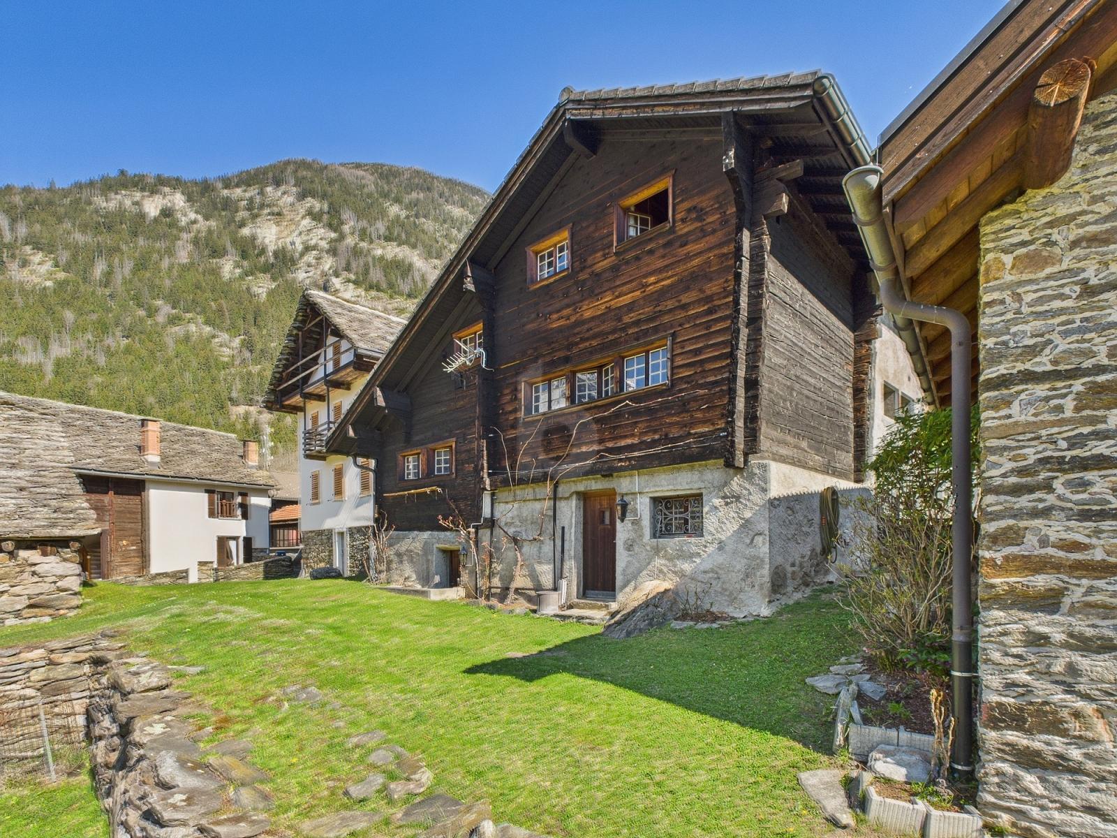 SERENITA E NATURA - 0