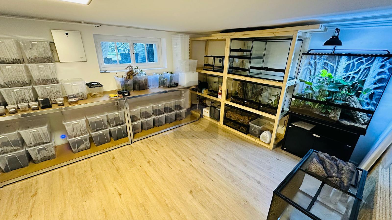 TRAUMLAGE MIT GESTALTUNGSSPIELRAUM - 1