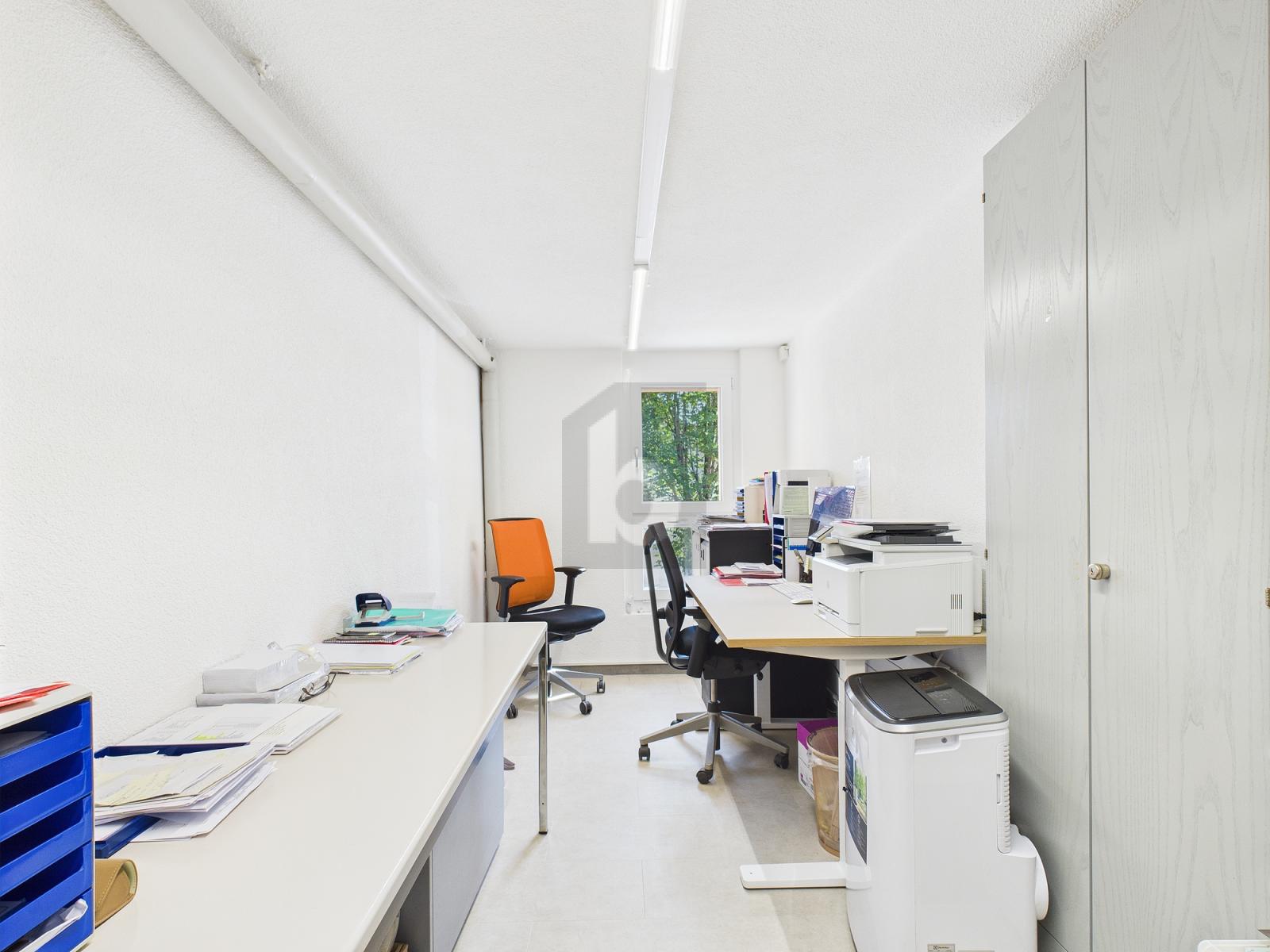 ETABLIERTE PIZZERIA MIT LIEFERSERVICE - 4