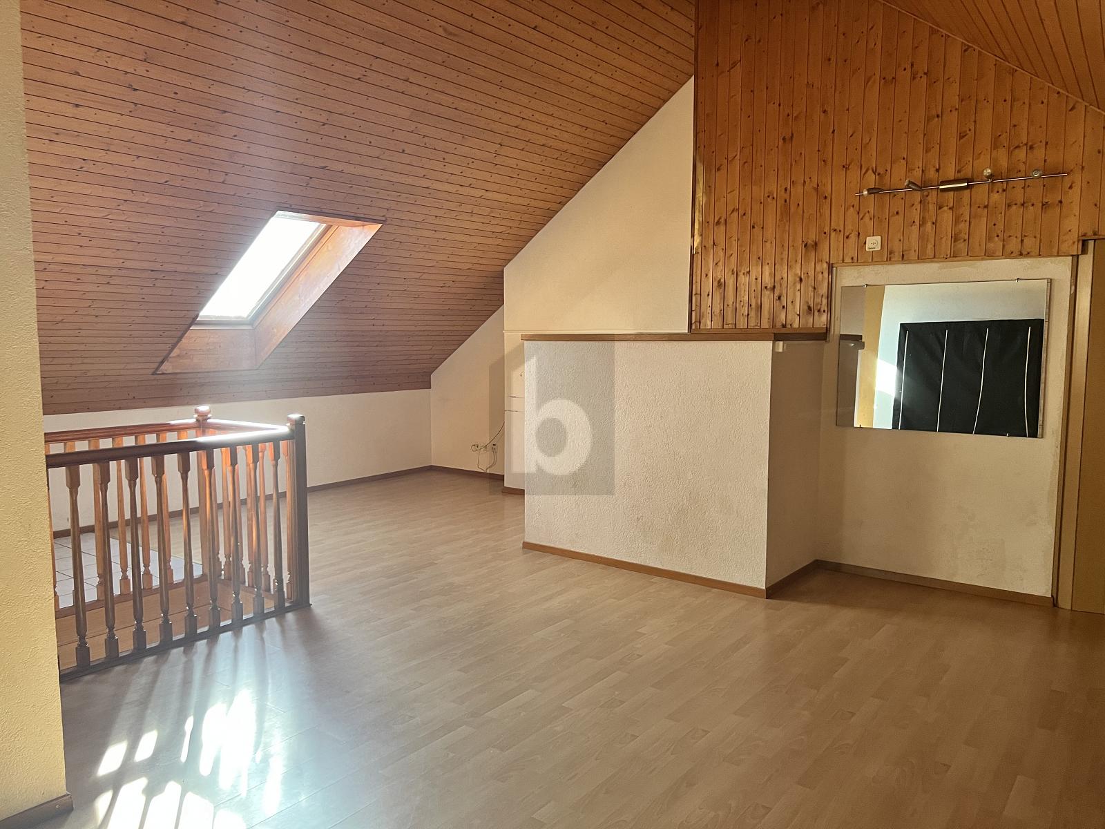 MAGNIFIQUE DUPLEX ATYPIQUE ET SPACIEUX - 1