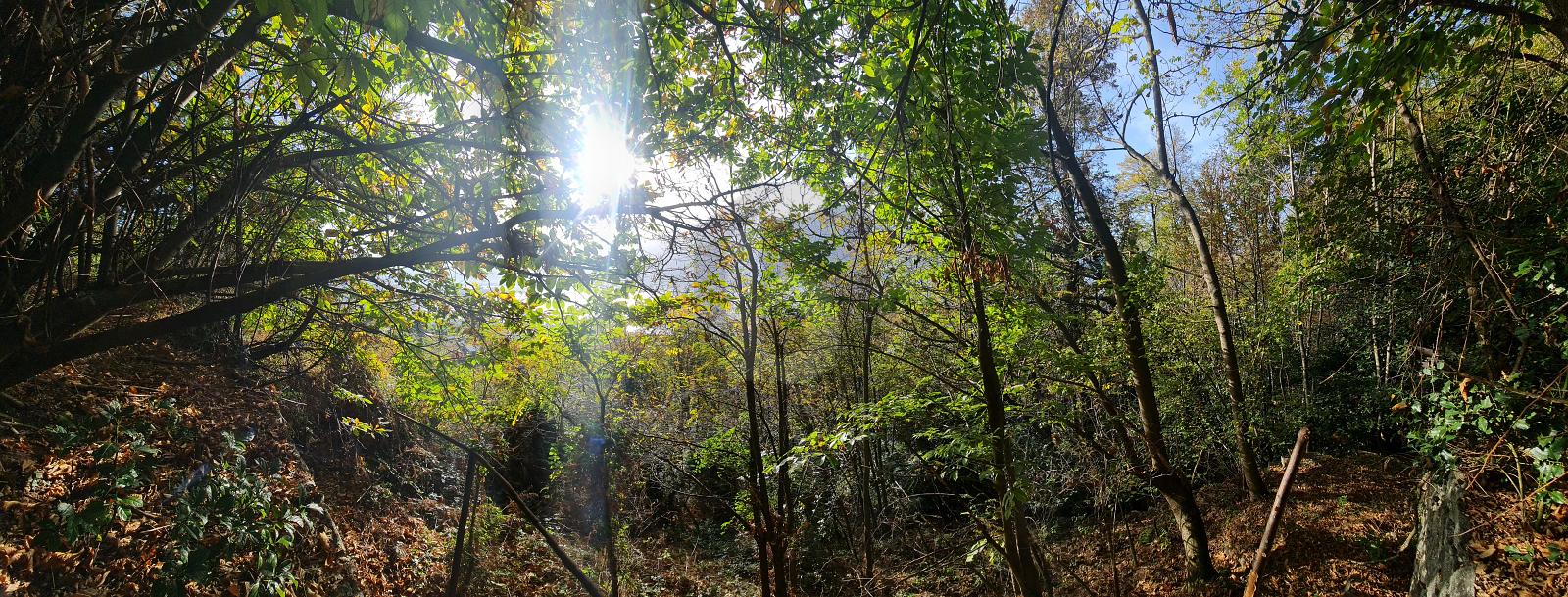 CON VISTA SPETTACOLARE - 0