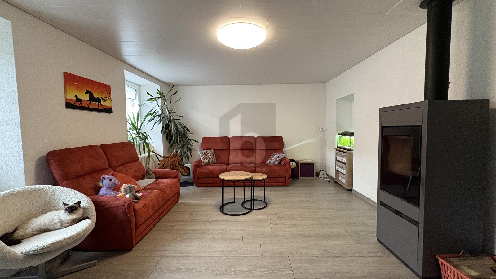 SPACIEUSE ENTIÉREMENT RÉNOVÉ AU CALME - 3